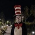 Viral ‘Cat in the Hat’ TikTok trend sparks fun fake videos but also real fear